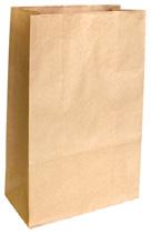 Paper Checkout Bags Large - Ecobags