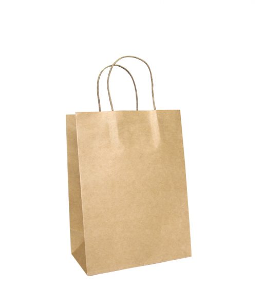 Twisted Handle Paper Bags Small - Ecobags