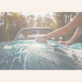 Vehicle Cleaner