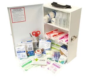 Work Place/Business large burns First Aid Kit in clear front large portrait first aid cabinet